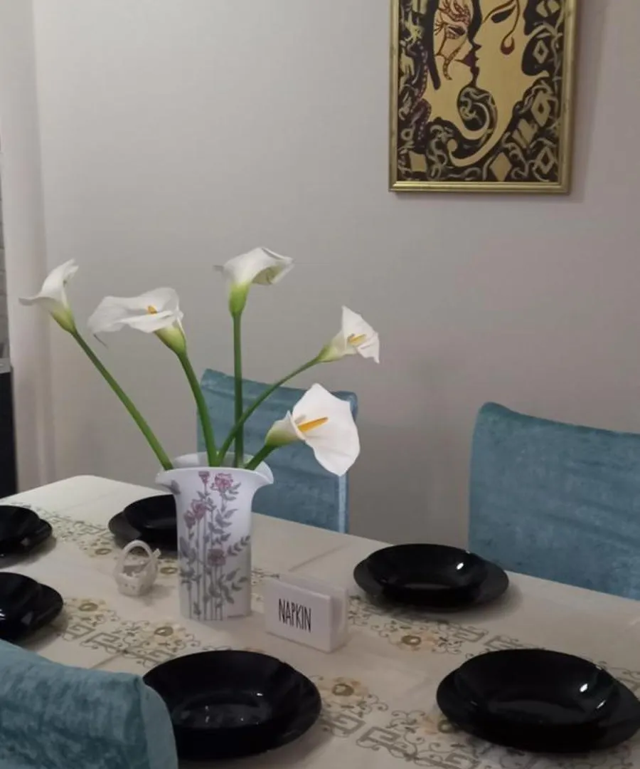 Panoramic Apartment Shkoder 0*,